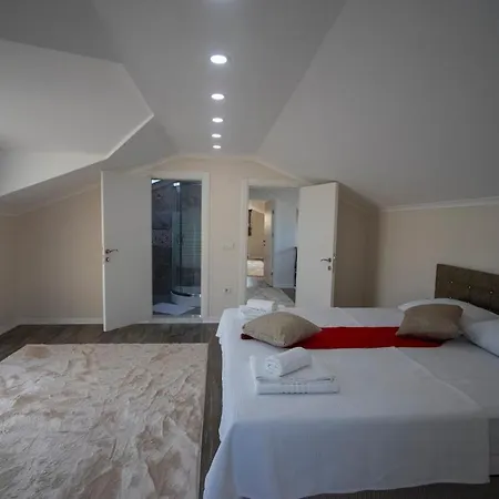 ヴィラ For 14 With Private Pool In Calis, フェティエ