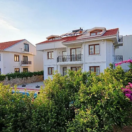 For 14 With Private Pool In Calis, Villa